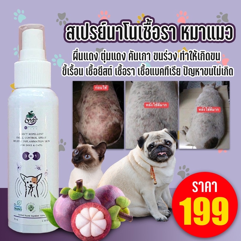สเปรย์นาโนสุนัขแมว70ml.คันเกาผื่นแดงตุ่มหนองเชื้อรายีสต์ขี้เรื้อนใช้ดีจนต้องซื้อซ้ำ