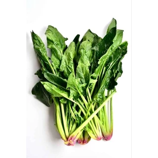 เมล็ดปวยเล้ง 40 เมล็ด(ซื้อ5แถม1คละได้)
