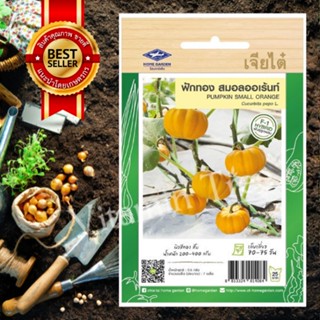 เมล็ดพันธุ์ ฟักทอง  สมอลออเร้นท์ Pumpkin seedเจียไต๋ 0.5 กรัม 7