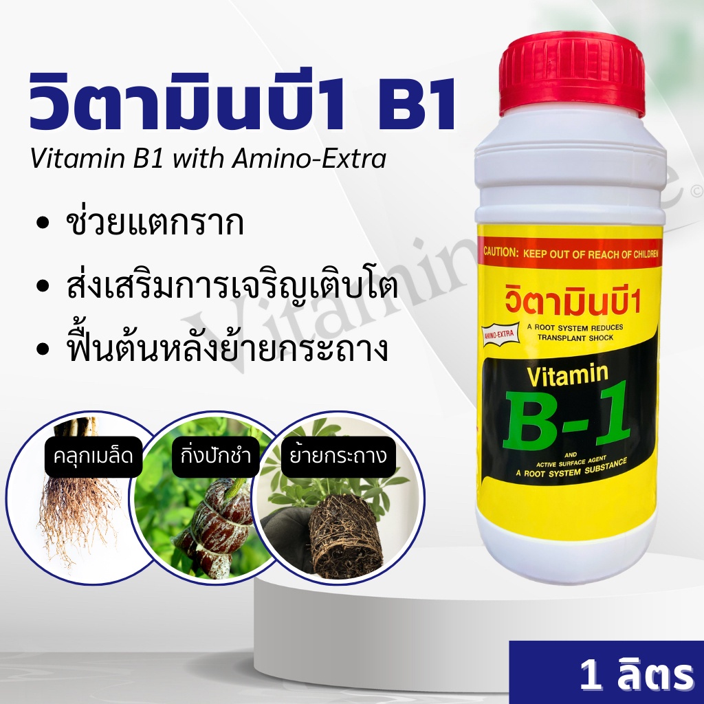 น้ำยาเร่งราก B1 ขนาด1ลิตร สำหรับตอนกิ่ง ปักชำ แช่เมล็ด ลดอาการเครียด ฟื้นตัวเร็ว รากแตกแขนงดี