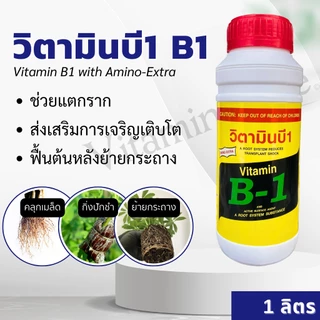 น้ำยาเร่งราก B1 ขนาด1ลิตร สำหรับตอนกิ่ง ปักชำ แช่เมล็ด ลดอาการเครียด ฟื้นตัวเร็ว รากแตกแขนงดี