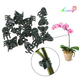 【AG】50Pcs Plastic Plant Support Clips Orchid Flower Stem Grafting Tool