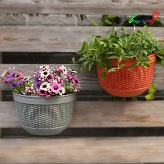 【AG】Flowerpot Fade-less Fall-resistant Ornamental Drain Hole Eco-friendly Plant Plant Accessories