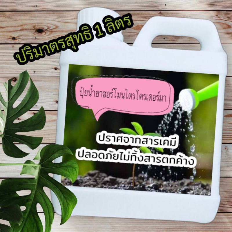 ส่งฟรี ปุ๋ยไตรโคเดอร์ชนิดน้ำ จัดเป็นเชื้อราชั้นสูง เจริญได้ดีในดิน