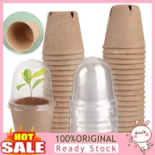 [B_398] 10Pcs Plant Nursery Pot Biodegradable Ventilation Holes See-through Dome Disposable Lid Flower Germination Pulp Plant Nursery Pot Home Supply