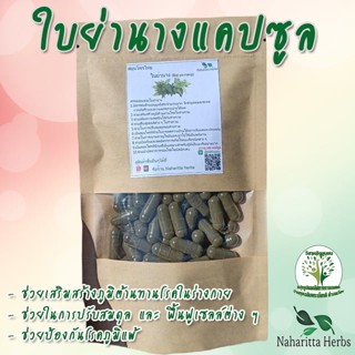 **เจ้าเก่าลิ้งค์ใหม่** ใบย่านาง ขนาด 50 / 100 แคป (1เม็ด 500 มก.) สมุนไพรไทยแท้ 100% พร้อมส่ง