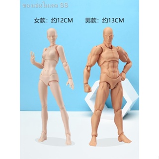 figma ศิลปะบนร่างกาย โมเดลร่างกายมนุษย์ ของเล่นญี่ปุ่น ข้อต่อหุ่นกระบอก เคลื่อนย้ายได้ ภาพวาดผู้ใหญ่ กล้ามเนื้อ shf ร่าง