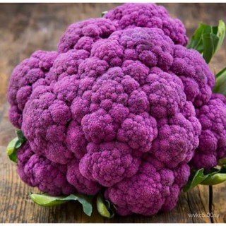 อินทรีย์็ด ใหม่็ด ใหม่กะหล่ำง่ายสีม่วง Purple Cauliflower Seed บรรจุ 100 ใหม่็ด นำเข้าจากต่างประเทศ ของแท้ คุณภาพ ผั