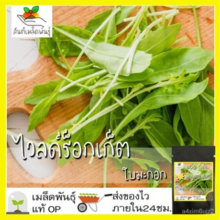 อินทรีย์็ด อินทรีย์็ด อินทรีย์ ไวลด์ร็อกเก็ต ใบมะกอก 300 อินทรีย์็ด Olive Leaf Wild Rocket seed อินทรีย์แท้ นำเข ผักบุ้