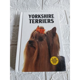 YORKSHIRE   TERRIERS