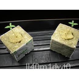 ☀1 Pcs Rockwool Cube ต้นกล้า Semai Benih Hydroponic Rock Wool-3Cm X 3Cm X 4Cm✨ 0A0P