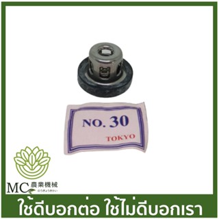 F-01-30 อะไหล่ ชุดตระกร้อวาล์ว 1 ตัว เบอร์ 30 (ใช้กับปั๊มปลาวาฬ 6 หุล) ปั๊มพ่นยา 6 หุล (3/4) 1 นิ้ว  ปั๊มพ่นยา 3 สูบ