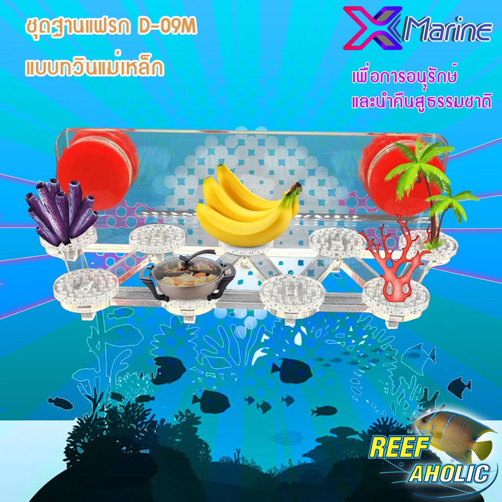 Reef-Aholic X-Marine Frag Stand D-09M ฐานแฟรกแม่เหล็กคู่ จัดไปให้อยู่ กระจกหนาไม่กลัว