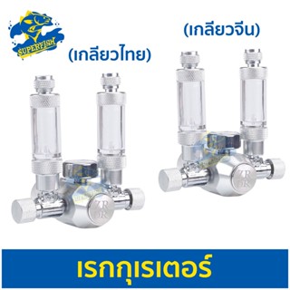 WYIN CO2 Regulator เกจวัดความดัน CO2 W01-05 ( เกลียวไทย W21.8 / เกลียวจีน G5/8 )