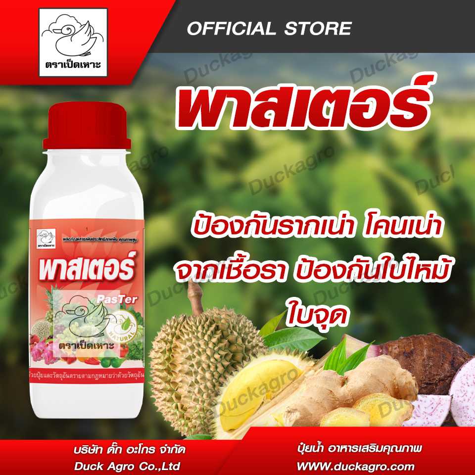 สารเสริมความแข็งแรง พาสเตอร์ ตราเป็ดเหาะ ป้องกันรากเน่า โคนเน่าจากเชื้อรา ป้องกันใบไหม้ ใบจุด ขนาดบรรจุ 500 / 1000cc.