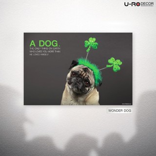 U-RO DECOR ภาพพิมพ์ รุ่น WONDER DOG ขนาด 60X90 ซม.