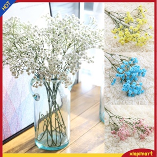 &lt;xiapimart&gt; ดอกไม้พลาสติก Gypsophila สําหรับประดับตกแต่งบ้าน 1 ชิ้น