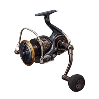 【Direct from Japan】 DAIWA Spinning Reel 22CALDIA SW 10000-P