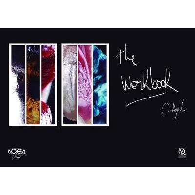 The Workbook (Hardcover) Author:Carlos A. Ayala Paz (1/2017) ISBN:9788578890933