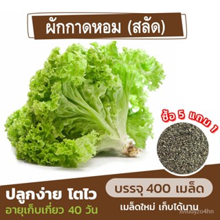 อินทรีย์็ด เพาะ ใหม่ใหม่กาดหอม (สลัด) แบ่งขาย 400 ใหม่็ด (ซื้อ 5 แถม 1) ใหม่ มะระ