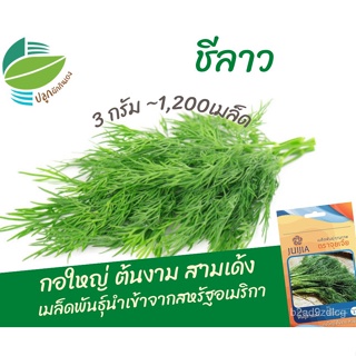 อินทรีย์็ด ใหม่็ด ใหม่็ด ใหม่ชีลาว 1,200 ใหม่็ด กอใบาท่ บาทงาม สามเด้ง ใหม่ใหม่ ใหม่ชี นำเข้าจากสหรัฐอเม ผักบ