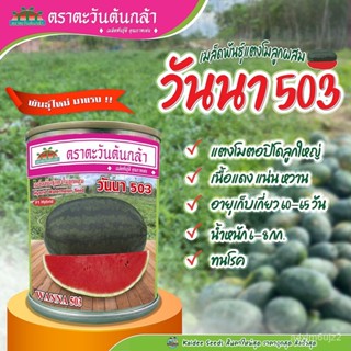 อินทรีย์็ด อินทรีย์็ด อินทรีย์ใหม่มาแรง!! อินทรีย์ง่ายโม ลูกผสม วันนา503 ตราตะวันง่ายกล้า ขนาด40กรัม อินทรีย์็