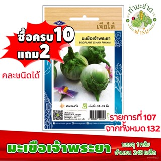 อินทรีย์็ด อินทรีย์็ด [10ง่าย2] เจียไต๋ อินทรีย์ ง่ายเจ้าพระยา Eggplant (Chao phaya) ประมาณ 240 อินทรีย์็ด ตราเ