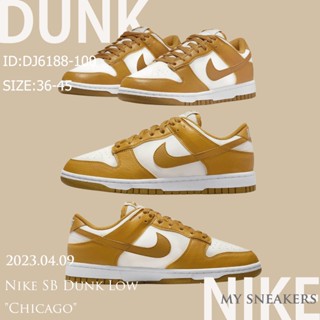 Nike SB Dunk Low Next Nature DN1431-001 Authentic casual shoes sneakers running shoes