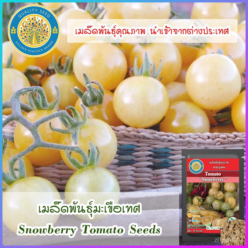 เมล็ด ใหม่็ด ใหม่ เพาะเทศ (Snowberry Tomato Seeds) ใหม่ เพาะ