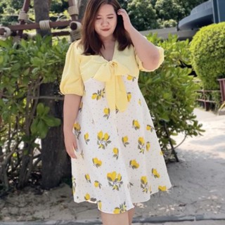 #OG053 Lemonade plussize dress