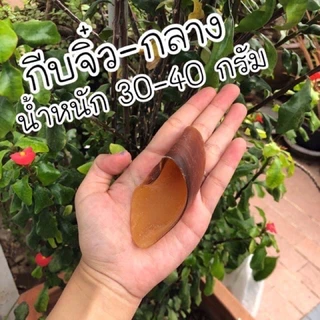 กีบวัว 200 กรัม ขนมสุนัข ขัดฟัน ขัดฟันสำหรับสุนัข ขนมขัดฟันจากธรรมชาติ