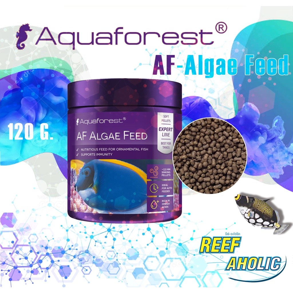Aquaforest Algae Feed 120g Fish Food อาหารปลา ที่อุดมไปด้วยวิตามินหลายสิบชนิด เน้นๆเลยสำหรับตระกูลTang เทให้ทั้งใจอันนี้