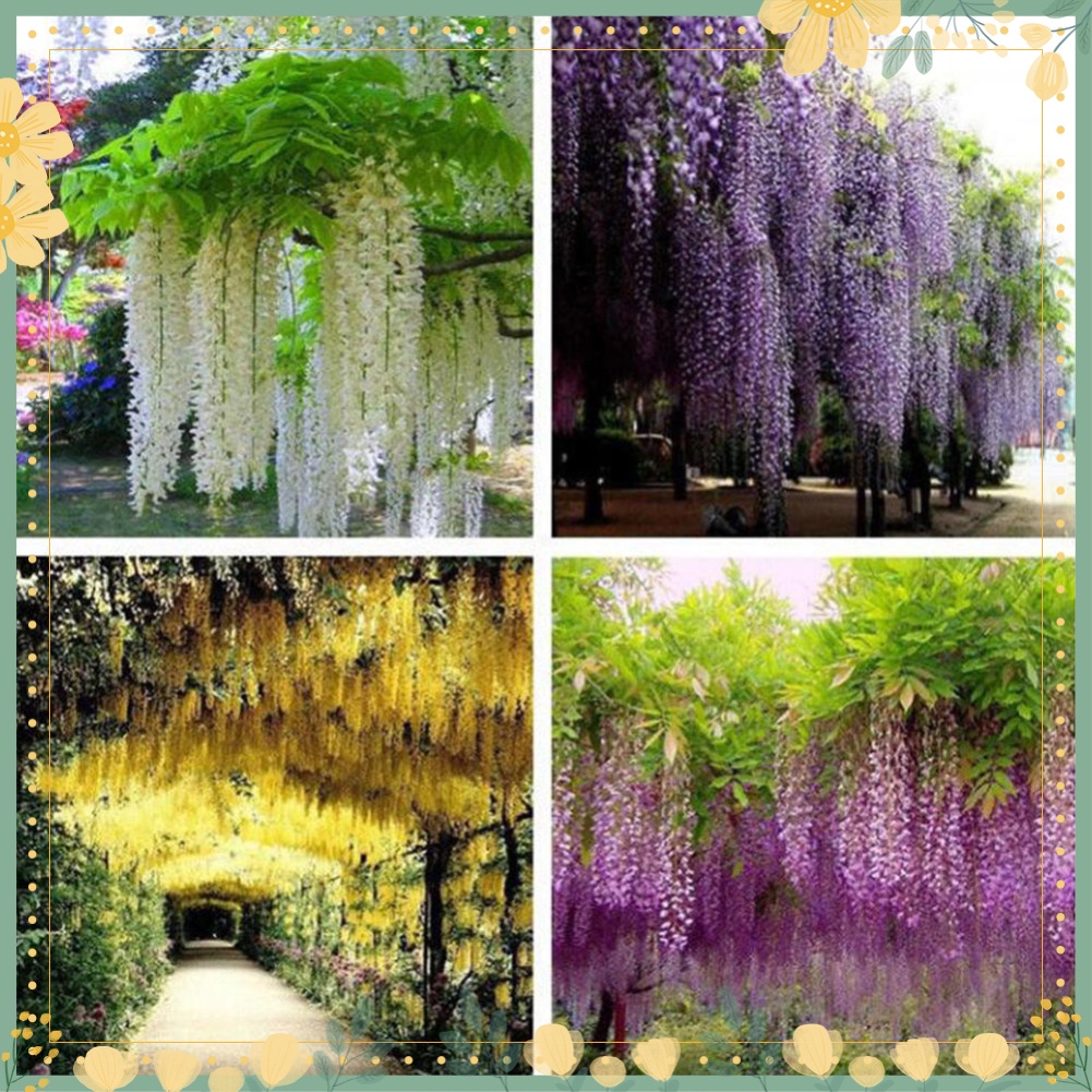 เถาวัลย์ดอกไม้ประดิษฐ์ สําหรับตกแต่งบ้าน งานแต่งงาน