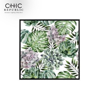 Chic Republic HARMONY/40x40,ภาพติดฝาผนัง   - สี หลากสี