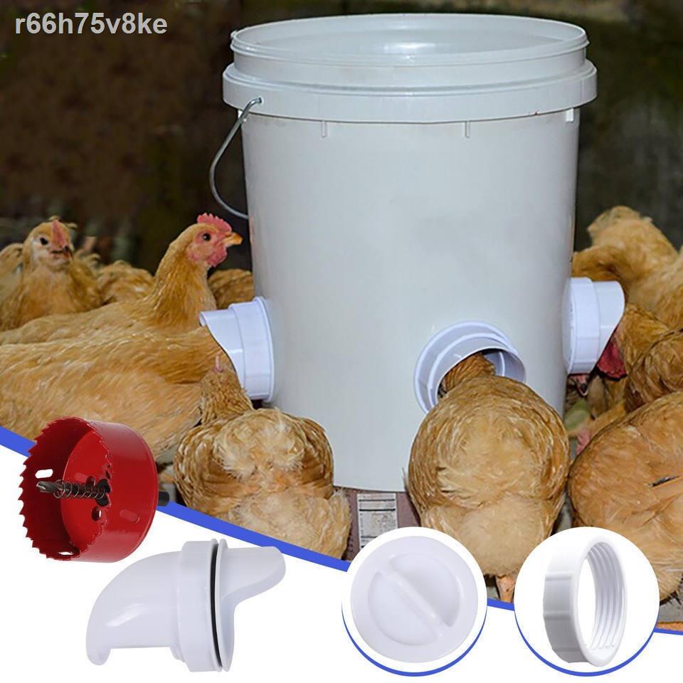 Chicken Duck Feeder DIY Rainproof Feeding Mouth Poultry Gravity Rainproof Poultry Feeder
