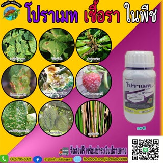 โปราเมท 250 ซีซี ข้าวกาบใบแห้ง ใบไหม้ ราน้ำค้าง กุ้งแห้งพริก ราดำ ราแป้ง ผลเน่า แอนแทรคโนส ราชาเต่าเกษตร