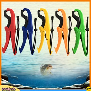 (Poslajudo) Portable Mini Floating Fish Lip Grip Gripper Holder Grabber Plier Controller