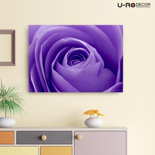 U-RO DECOR ภาพพิมพ์ รุ่น VIOLET ROSE ขนาด 50x70 ซม. ภาพแขวนผนัง