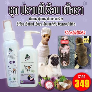 ชุดปราบขี้เรื้อนเชื้อรายีสต์ชุดเล็กแชมพูมังคุด120ml+สเปรย์70ml