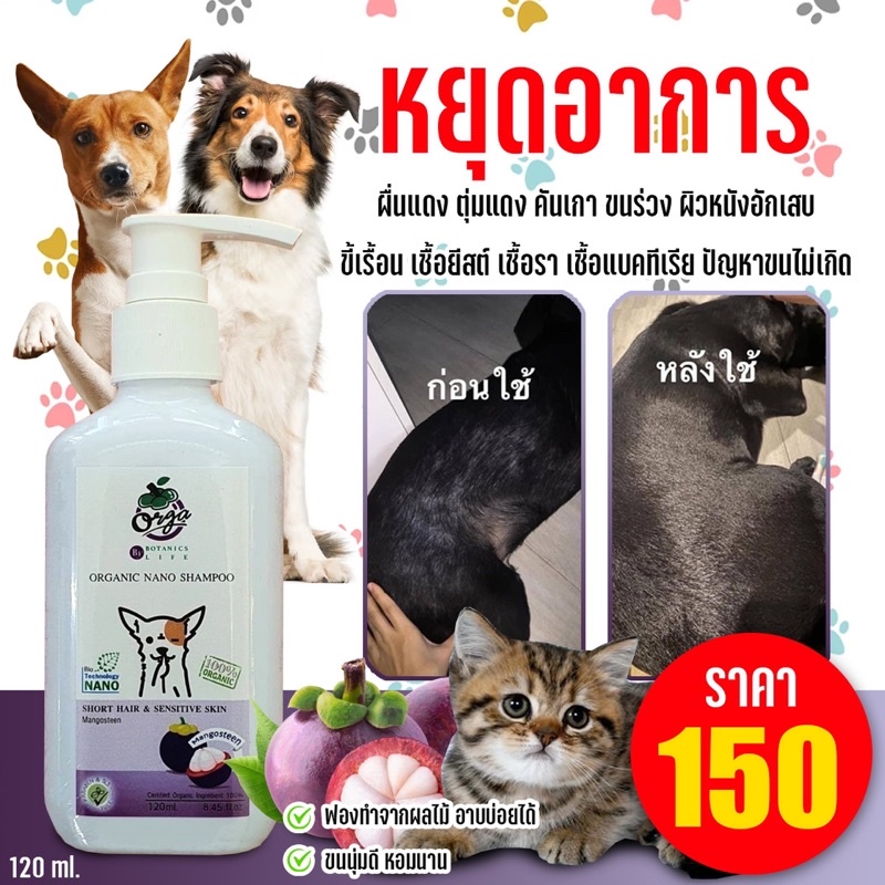 แชมพูสุนัขแมวสูตรมังคุด120ml.คันเกาขนร่วงเชื้อรายีสต์ ใช้ดีสัตว์เลี้ยงสบายตัว