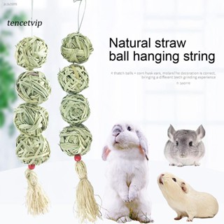 tencetvip Creative Bunny Toy Rabbit Grass Snack Toy Teeth Molar Small Animals Supplies