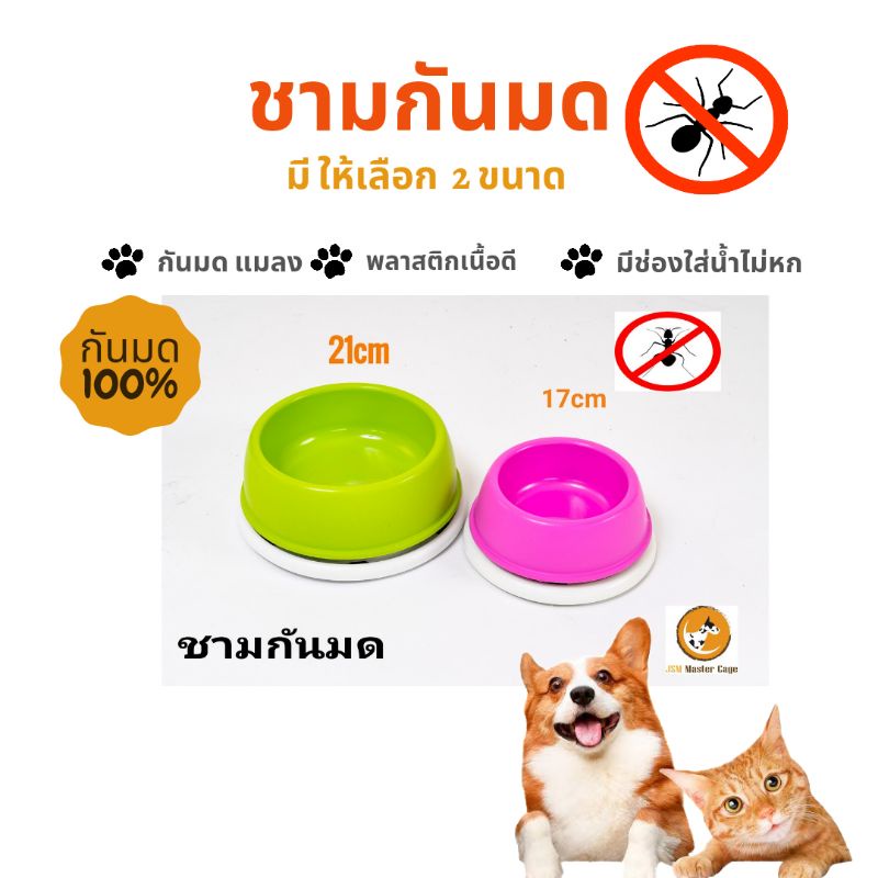 ชามอาหารสัตว์ กันมด  ชามกันมด เนื้อหนา  ถ้วยอาหาร กันมด กันแมลง