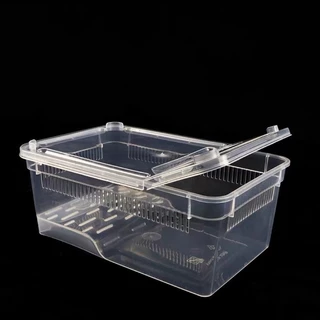 Reptile Box กล่องเลี้ยงสัตว์เล็ก ฮอร์นฟรอก สัตว์เลื้อยคลาน ผสมพันธุ์สดกล่อง แมงมุม ตุ๊กแก แมงป่อง 19*12.5*7.5cm
