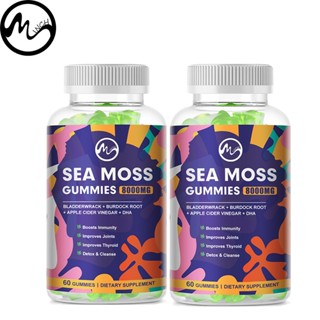 Minch Sea Moss Gummies อาหารเสริม สําหรับผู้ใหญ่ Gumik พร้อมวิตามินหลายชนิด เพื่อปรับปรุงภูมิคุ้มกัน ดีท็อกซ์ผิว