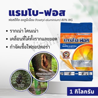 แรมโบ-ฟอส 1กิโลกรัม ฟอสอีทิล-อะลูมิเนียม 80% WG ป้องกันกำจัด…