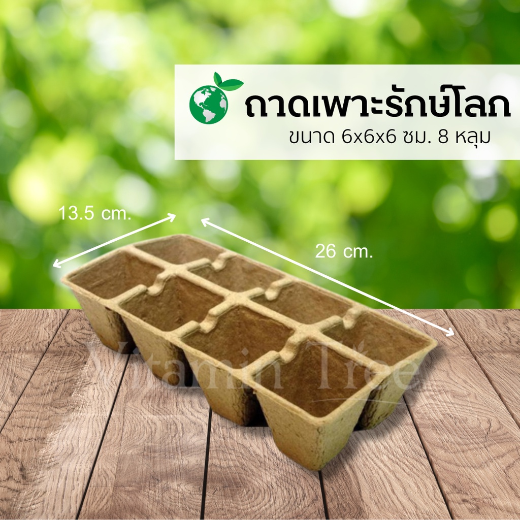 ถาดเพาะกล้า กระดาษ รักษ์โลก 8 หลุม ถาดเพาะ ถาดหลุม เพาะเมล็ด
