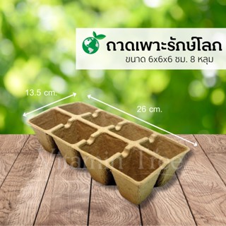 ถาดเพาะกล้า รักษ์โลก ถาดเพาะ กล้า 8 หลุม ถาดเพาะกล้ากระดาษ ถาดหลุม เพาะเมล็ด เพาะ