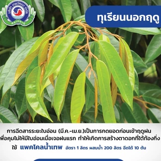 สารทำดอก นอกฤดู แพกโคลบิวทราซอล 25% 1L มะม่วง ทุเรียน ทำสาร นอกฤดู แพคโค ทะวาย