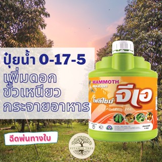 ปุ๋ยน้ำ 0-17-5 แมมมอท โฟลิไซม์ จีเอ 4ลิตร