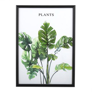 กรอบรูป PTS PLANTS 11.7X16.5 นิ้ว (A3) สีดำ